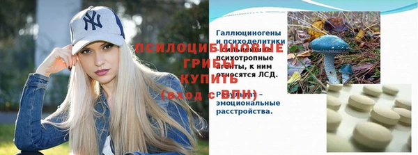 дмт Абаза